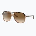 Akiniai nuo saulės Ray-Ban Bill havana brown/transparent brown 4