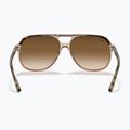 Akiniai nuo saulės Ray-Ban Bill havana brown/transparent brown 5