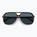 Akiniai nuo saulės Ray-Ban Bill havana/blue 3