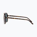 Akiniai nuo saulės Ray-Ban Bill havana/blue 7