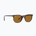 Akiniai nuo saulės Ray-Ban Elliot havana brown/black polarized