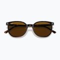 Akiniai nuo saulės Ray-Ban Elliot havana brown/black polarized 3