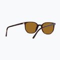 Akiniai nuo saulės Ray-Ban Elliot havana brown/black polarized 6