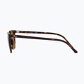 Akiniai nuo saulės Ray-Ban Elliot havana brown/black polarized 7
