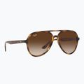 Akiniai nuo saulės Ray-Ban RB4376 havana/brown gradient