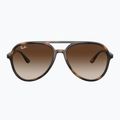 Akiniai nuo saulės Ray-Ban RB4376 havana/brown gradient 2