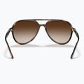 Akiniai nuo saulės Ray-Ban RB4376 havana/brown gradient 5