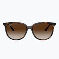 Akiniai nuo saulės Ray-Ban RB4378 havana/brown gradient 2
