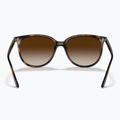 Akiniai nuo saulės Ray-Ban RB4378 havana/brown gradient 3