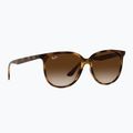 Akiniai nuo saulės Ray-Ban RB4378 havana/brown gradient 5