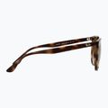 Akiniai nuo saulės Ray-Ban RB4378 havana/brown gradient 6