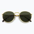 Akiniai nuo saulės Ray-Ban New Round gold/green 3