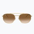 Akiniai nuo saulės Ray-Ban RB3707 Polarized+ Lenses arista gold/brown 2