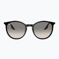 Akiniai nuo saulės Ray-Ban RB2204 black/light grey 2