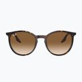 Akiniai nuo saulės Ray-Ban RB2204 havana/light brown 2