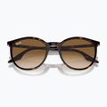 Akiniai nuo saulės Ray-Ban RB2204 havana/light brown 3