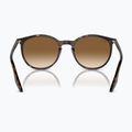 Akiniai nuo saulės Ray-Ban RB2204 havana/light brown 5