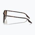 Akiniai nuo saulės Ray-Ban RB2204 havana/light brown 6