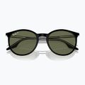 Akiniai nuo saulės Ray-Ban RB2204 transparent black/green polarized 3
