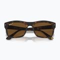 Akiniai nuo saulės Ray-Ban RB4428 havana matte/brown polarized 3