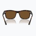 Akiniai nuo saulės Ray-Ban RB4428 havana matte/brown polarized 5