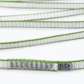 Laipiojimo kilpa Climbing Technology Looper DY white/ green 2