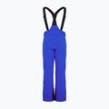 Vyriškos slidinėjimo kelnės EA7 Emporio Armani Pantaloni 6RPP27 new royal blue 2
