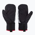 Slidinėjimo pirštinės Level Ski Alper Light black 5