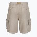 Vyriški šortai Aeronautica Militare BE0280UCT04293 Bermuda shorts winter twig 2
