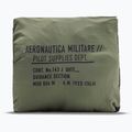 Vyriški maudymosi šortai Aeronautica Militare BW0231UCT04311 lichen green 2