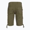 Vyriški šortai Aeronautica Militare BE0041UCT01122 green 2