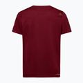 Vyriški marškinėliai La Sportiva Solution sangria 2