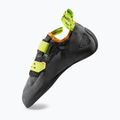 Vyriški laipiojimo bateliai La Sportiva Tarantula carbon/lime punch 3