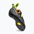 Vyriški laipiojimo bateliai La Sportiva Tarantula carbon/lime punch 4