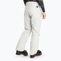 Vyriškos slidinėjimo kelnės EA7 Emporio Armani Ski Cortina Toray quiet gray 2