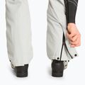 Vyriškos slidinėjimo kelnės EA7 Emporio Armani Ski Cortina Toray quiet gray 6