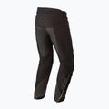 Vyriškos dviratininkų kelnės Alpinestars Alps Pants black 2