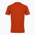 Vyriški EA7 Emporio Armani Visibility Cotton Crew marškinėliai su rooibos arbata 2