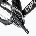 Kelių dviratis Cipollini BOND2 DB 22-RED juodai baltas M0012MC122BOND2_DB N30ZO 10