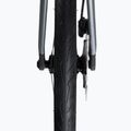 Kelių dviratis Cipollini NK1K DB 22-ULTEGRA black M0012MC122NK1K_DB Q30MN 18