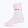 Kojinės DMT Classic Race 2024 white/orange 2