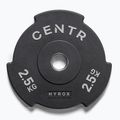 Bumperio svoriai Centr Olimpijski Centr x Hyrox Interlocking Bumper Plate 2 pcs black
