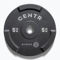 Bumperio svoriai Centr Olimpijski Centr x Hyrox Interlocking Bumper Plate 2 pcs black