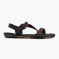 Vyriški barefoot sandalai Xero Shoes Z-Trail EV multi / brown 2