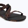 Vyriški barefoot sandalai Xero Shoes Z-Trail EV multi / brown 7