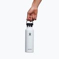 Hydro Flask Standard Flex Straw terminis butelis 620 ml, baltas S21FS110 4