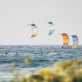 Cabrinha Contra jėgos aitvaras aitvarai geltonos spalvos K2KOCTR3S017002 5