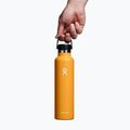 "Hydro Flask Standard Flex Cap" terminis buteliukas 710 ml iškastinis 3