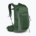 Vyriška turistinė kuprinė Osprey Talon 22 l green canopy / pine leaf 2