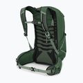 Vyriška turistinė kuprinė Osprey Talon 22 l green canopy / pine leaf 4